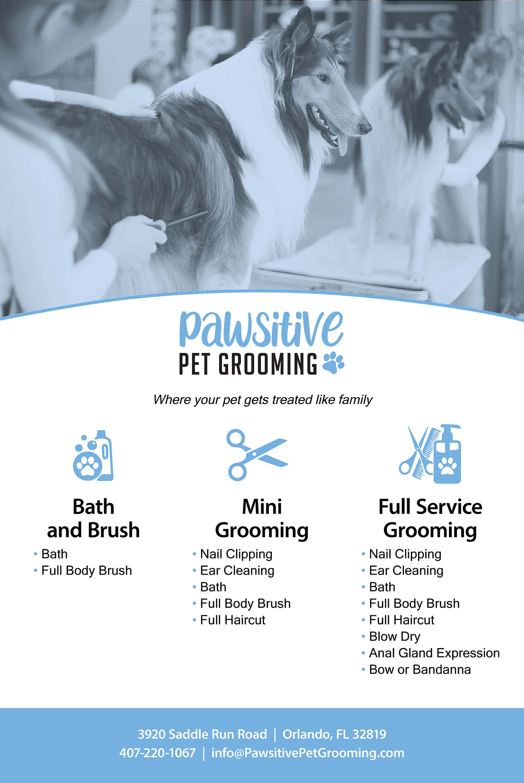 Pet Grooming Poster